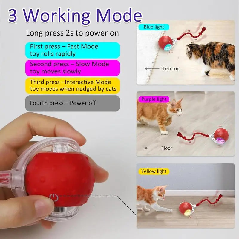 Interactive Rolling Cat Ball Toy | Motion Activated Fun