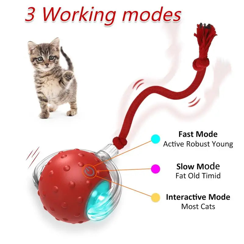 Interactive Rolling Cat Ball Toy | Motion Activated Fun