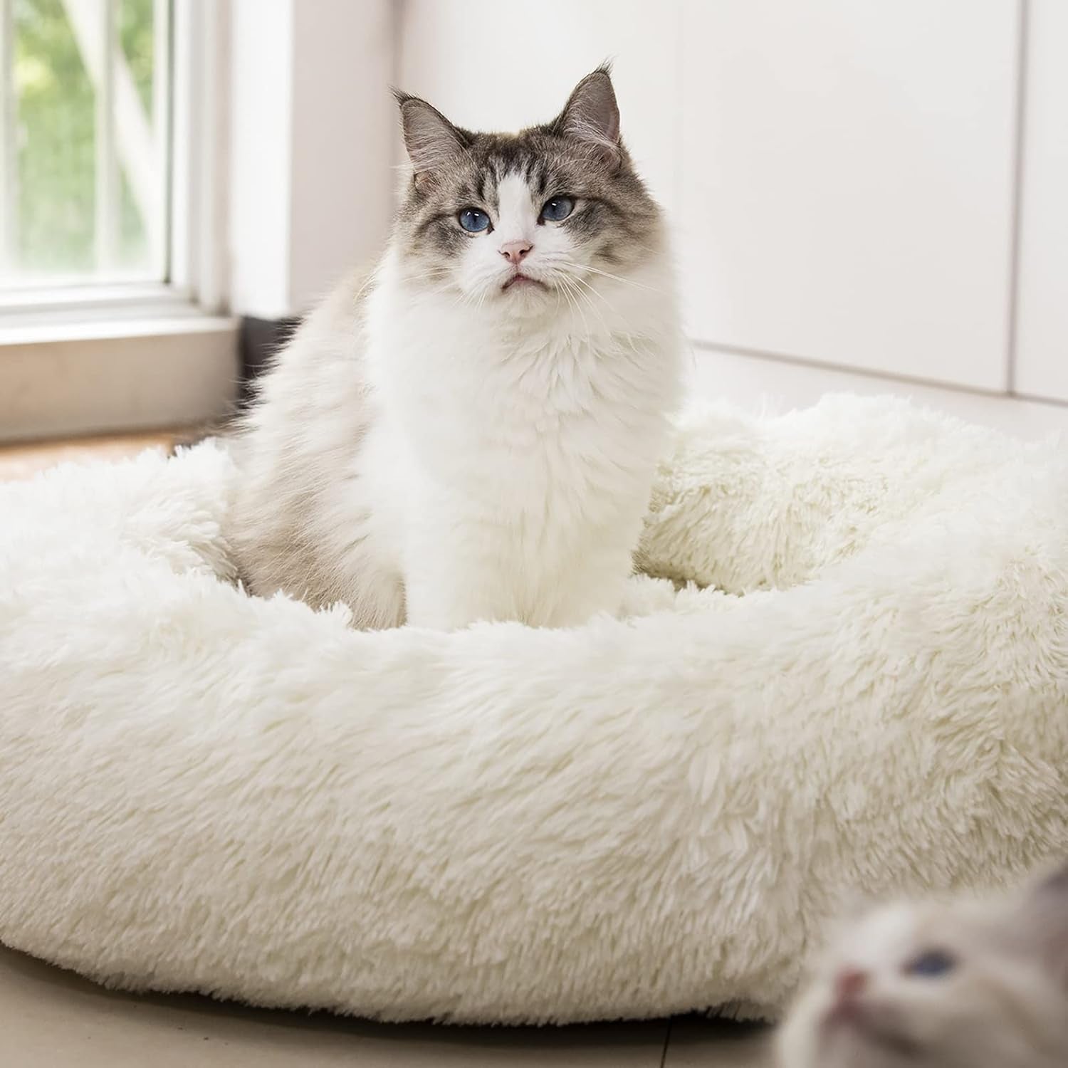 Calming Donut Pet Bed – Ultra-Soft Plush Faux Fur, Anxiety & Joint Relief for Dogs and Cats | Multiple Sizes
