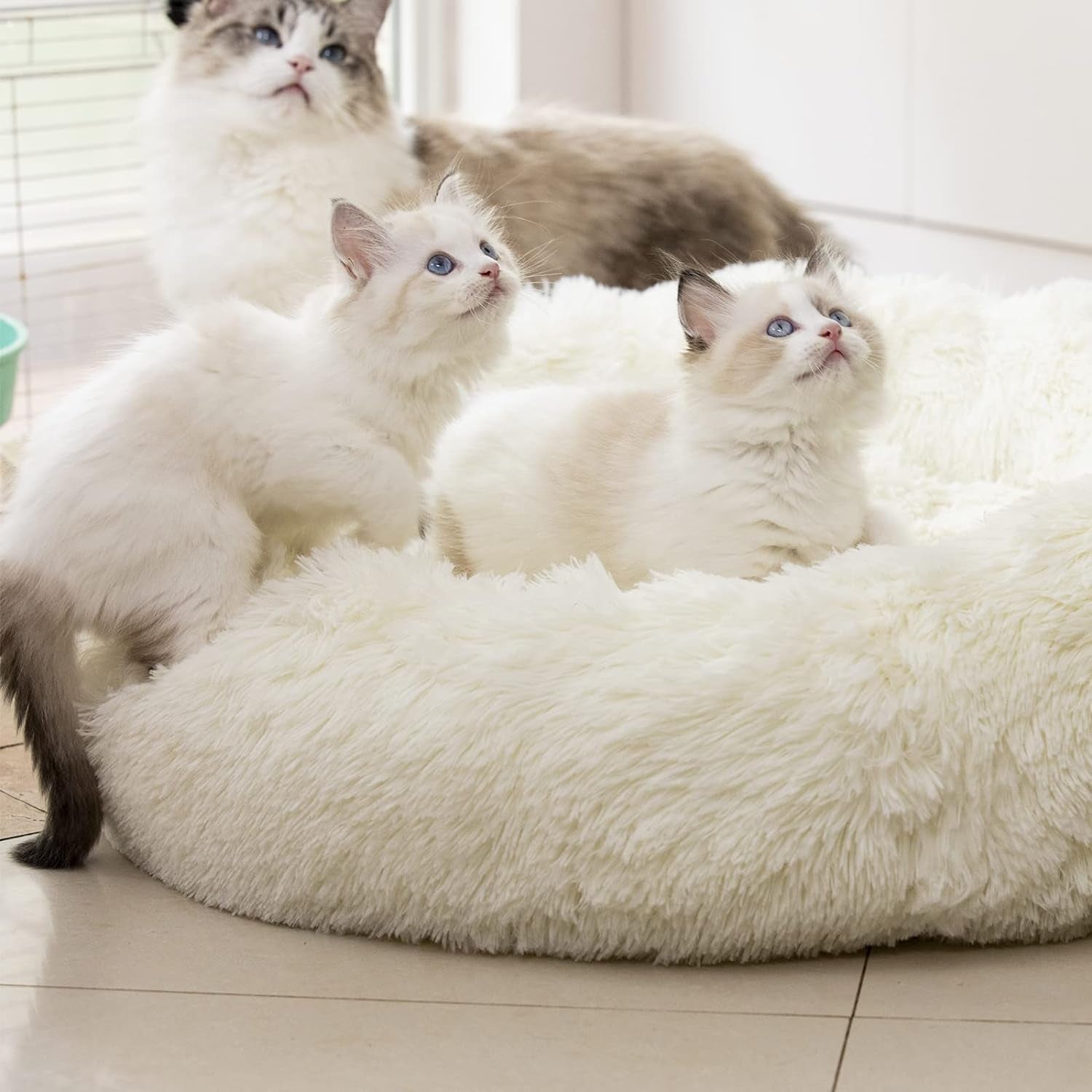 Calming Donut Pet Bed – Ultra-Soft Plush Faux Fur, Anxiety & Joint Relief for Dogs and Cats | Multiple Sizes