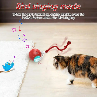 Interactive Rolling Cat Ball Toy | Motion Activated Fun
