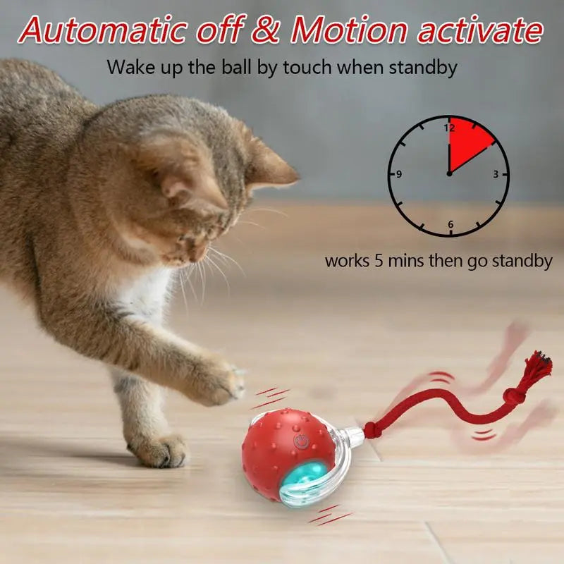 Interactive Rolling Cat Ball Toy | Motion Activated Fun