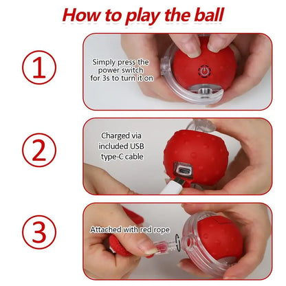 Interactive Rolling Cat Ball Toy | Motion Activated Fun